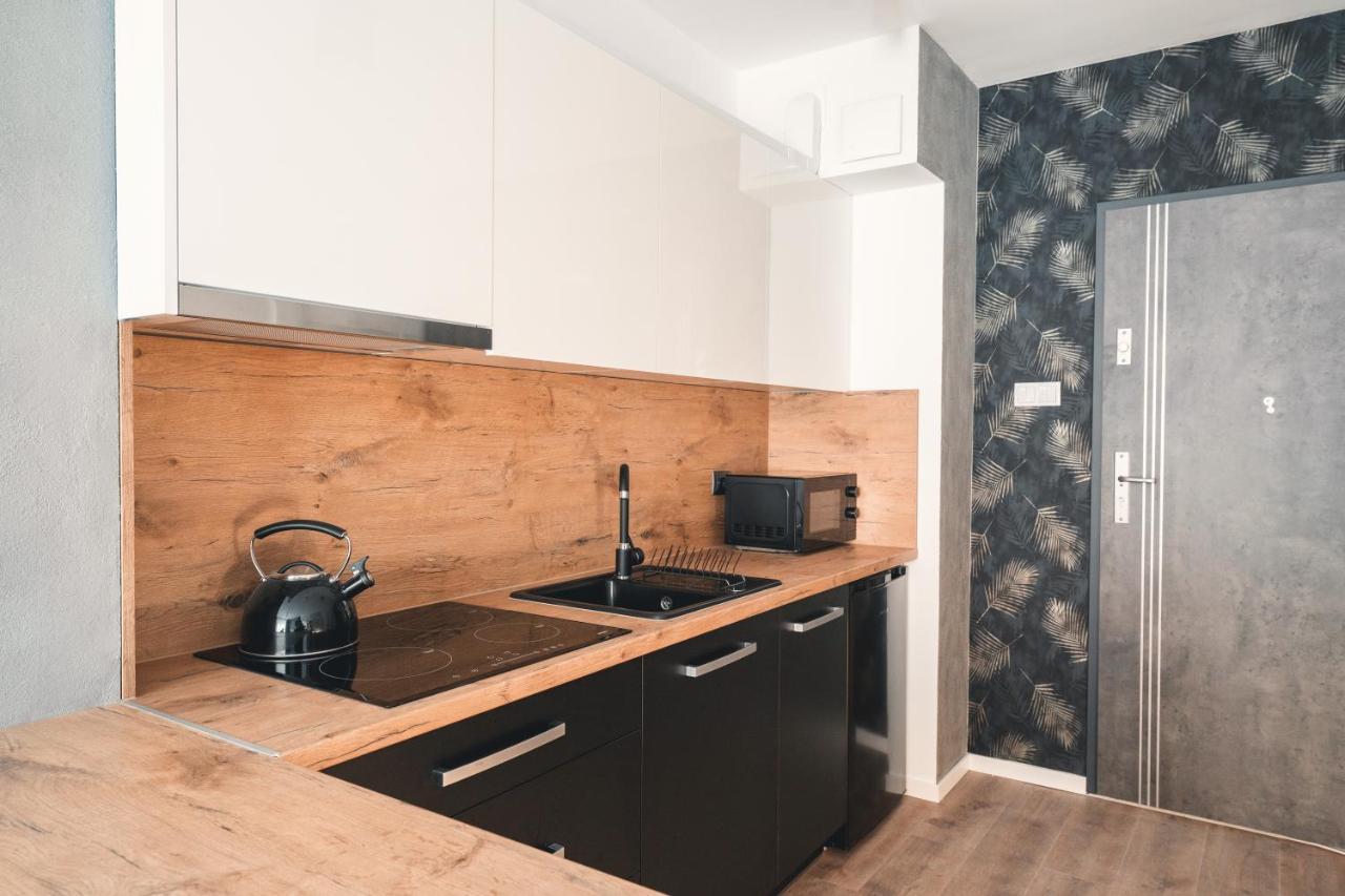 Apartament Apartament Nr 16 - Zrodlana 2 Świeradów-Zdrój Zewnętrze zdjęcie