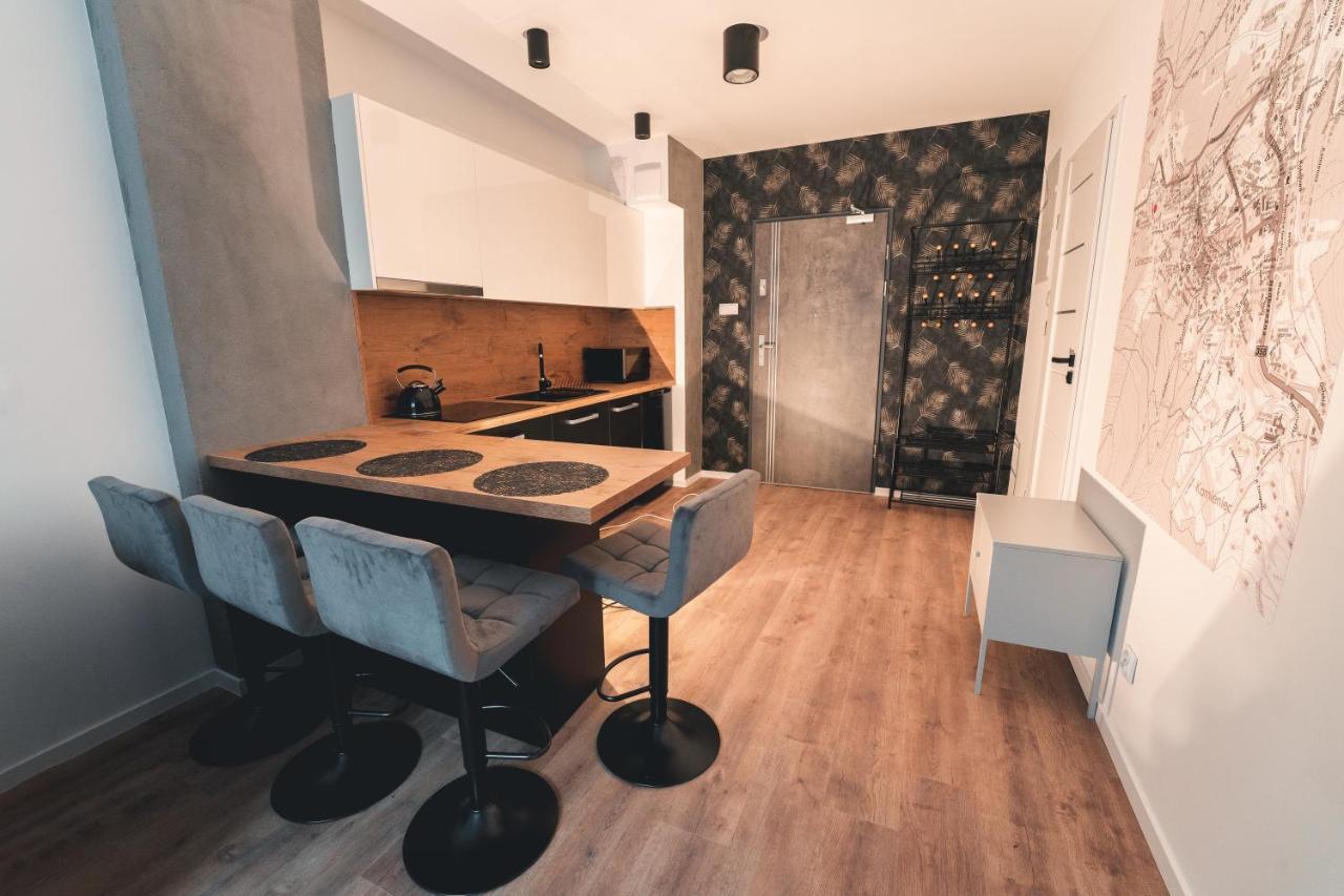 Apartament Apartament Nr 16 - Zrodlana 2 Świeradów-Zdrój Zewnętrze zdjęcie